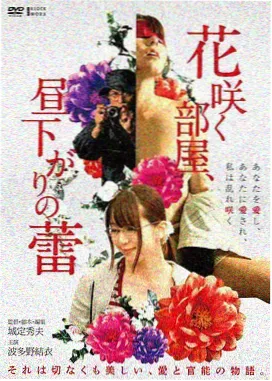 画质档位与码率对照索引卡封面